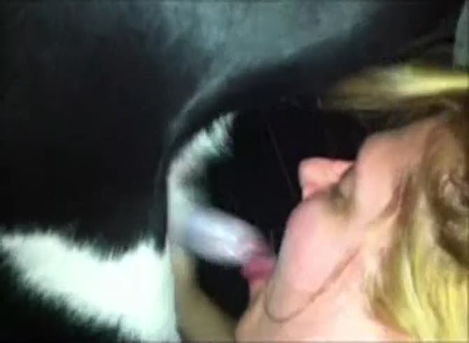 Video :Blonde beastiality lover giving blowjob to dog dick